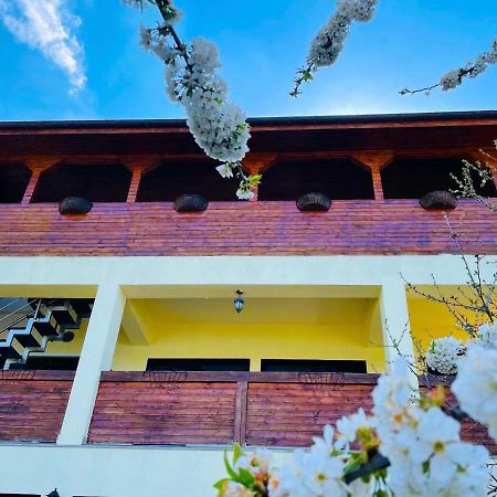 Casa Camelia Ξενοδοχείο Dubova Εξωτερικό φωτογραφία