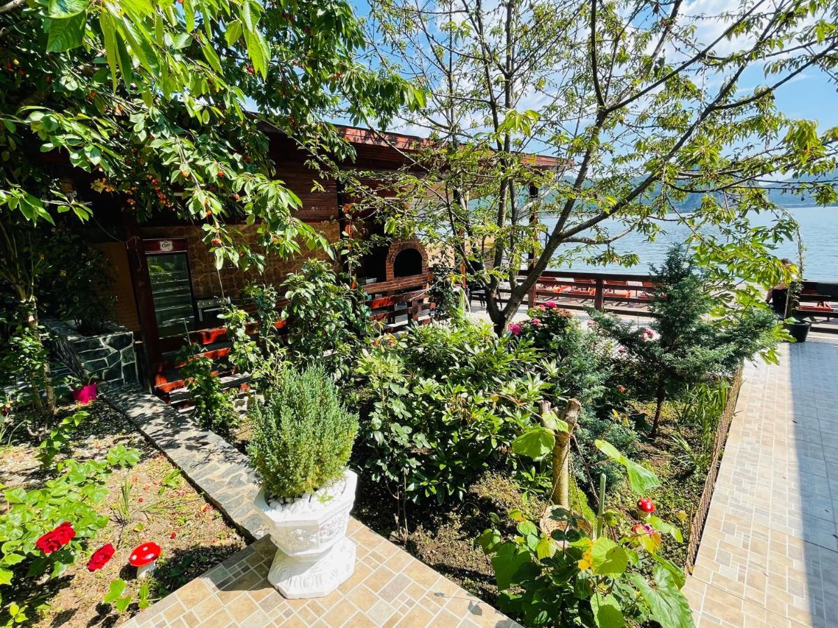 Casa Camelia Ξενοδοχείο Dubova Εξωτερικό φωτογραφία